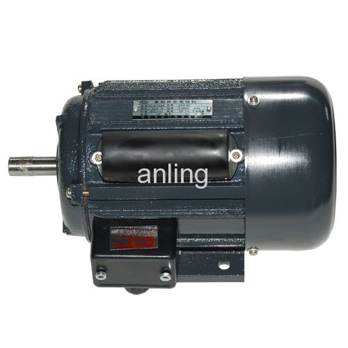 Single-phase Induction Motor