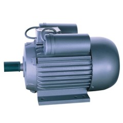 Two-value Capacitor Start Induction Motor