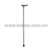 cane crutch