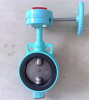 Die-casting Aluminum Double Stem Without Pin Butterfly Valve