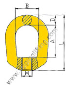 Lifting Swivel Ring