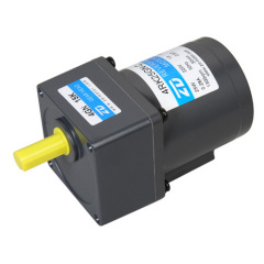 AC Reversible Gear Motor