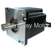 DC Brushless Motor