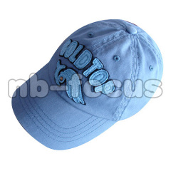 Logo Baseball Cap