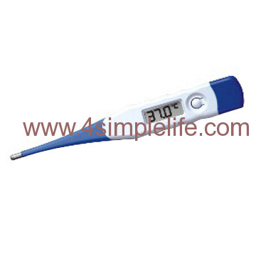 Flexible Digital Thermometer