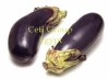 Eggplant