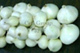 White Onion