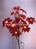 16L LIGHTING POINSETTIA,RED,60CM