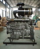 HF Ricardo Series Diesel Engine