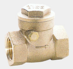 Check Valve