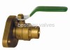 Brass Ball Valve