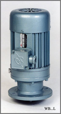 WB Series Cycloidal Reducer