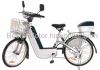 250W Electric Bicycle CE