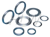 Ring Joint Gasket