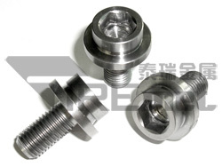 Titanium Crank Bolt