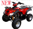 Mini Quad 110cc Atv,