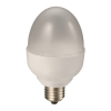 LED BULB