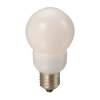 LED BULB