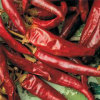 Chilli