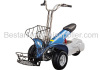 750W Electric Golf Cart