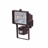 Halogen Flood Light