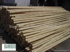 Bamboo Pole and Cane