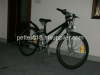 Electric Mountain Bicycle