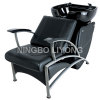 Shampoo Chair