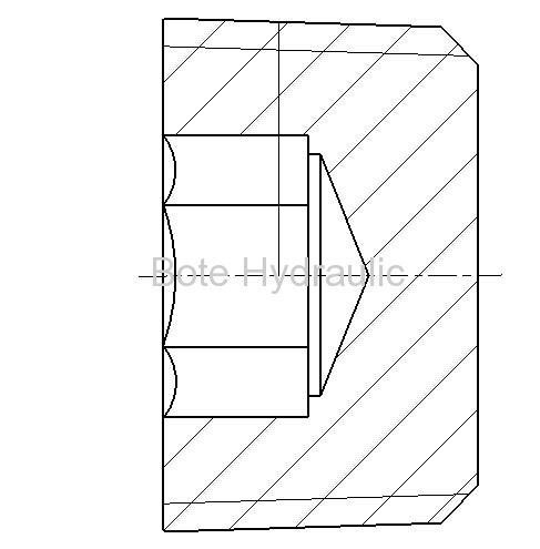 NPT Socket Plug