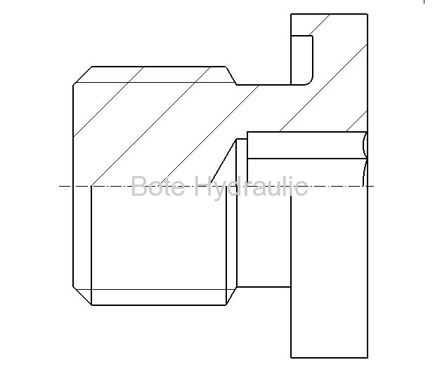 BSPP ED Seal Socket Plug