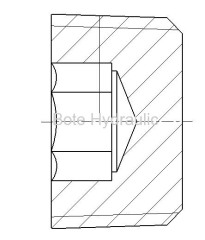 BSPT Socket Plug