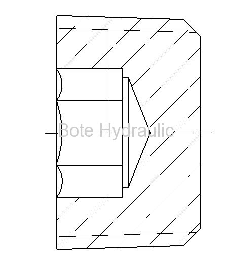 BSPT Socket Plug