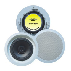 Ceiling Speaker