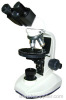 Polarization Microscope