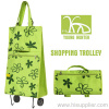 SHOPPING TROLLEY