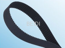 universal rib belt