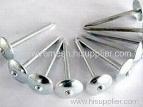 Galvanized Rooding Nail