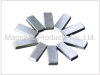 Neodymium Block Ndfeb Magnet