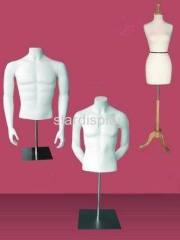 Mannequin Torso & Dummy Of Different Form