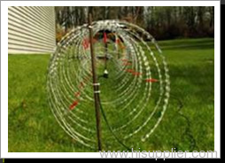 Concertina Wire