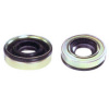 Lip Type Shaft Seal