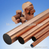 Leaded Beryllium Copper Alloys