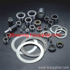 Needle Roller Bearing