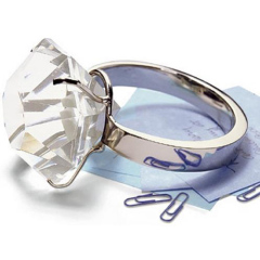 Crystal Napkin Ring