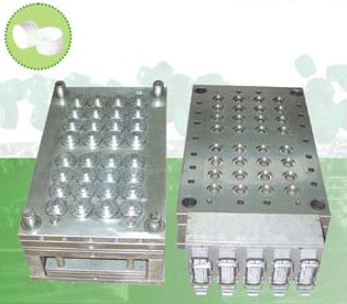 Injection Mold