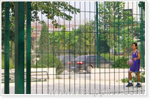 Playground Fence