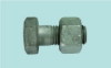 Hex hot dip galvanizing bolt with nut