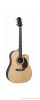 Acoustic Guitar