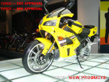 125CC EEC / EPA Pocket Bike