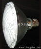 PAR38 LED Light